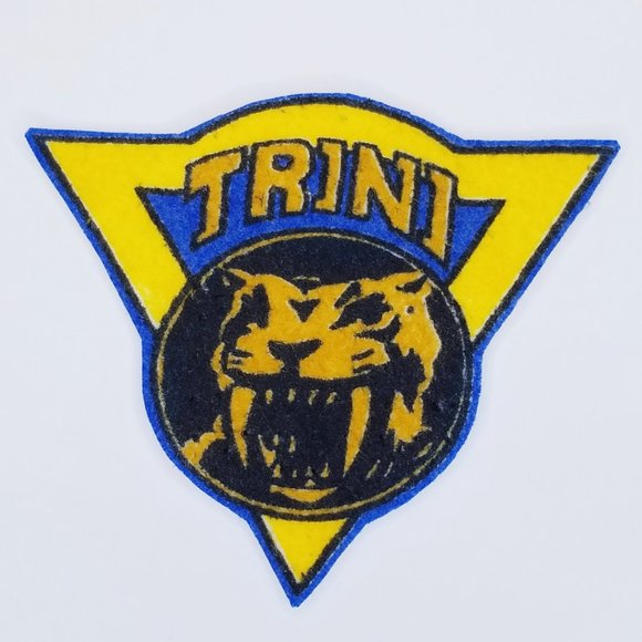 Vintage Mighty Morphin Power Rangers Felt Patches Morpher Badge Appliques - Picture 4 of 10